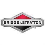 Briggs & Stratton